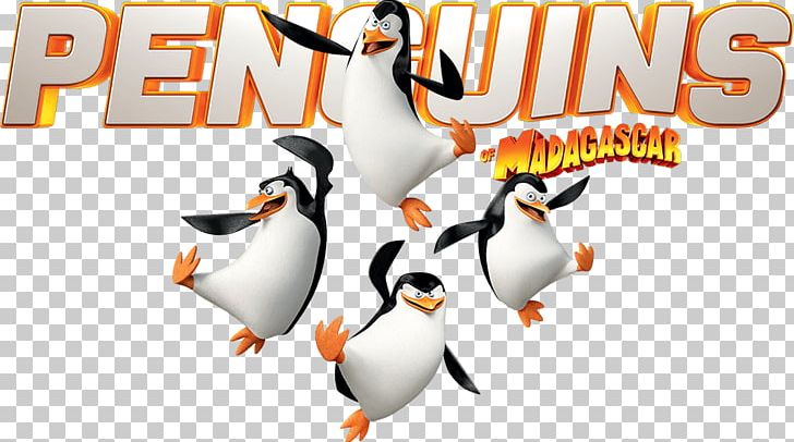 Penguin Skipper Kowalski Madagascar Film PNG, Clipart, Animals, Beak, Bird, Fan Art, Film Free PNG Download