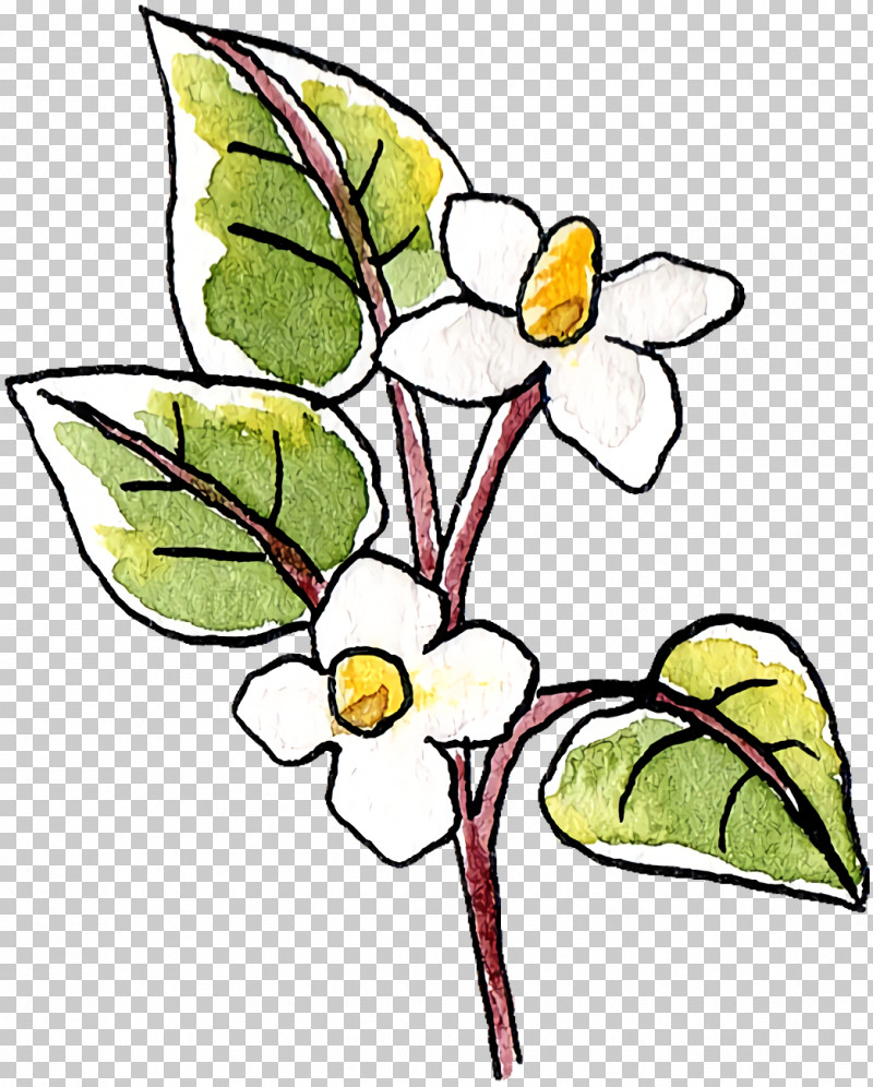 Floral Design PNG, Clipart, Branch, Cut Flowers, Floral Design, Flower, Insect Free PNG Download