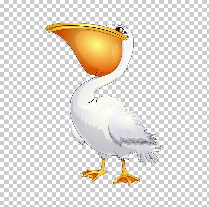 Bird Pelican PNG, Clipart, Animal, Animals, Animation, Art, Beak Free PNG Download