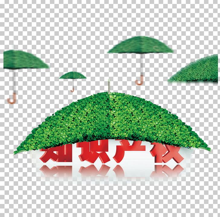 China Intellectual Property Copyright Patent PNG, Clipart, Beach Umbrella, China, Copyright, Creative Commons, Environmental Protection Free PNG Download