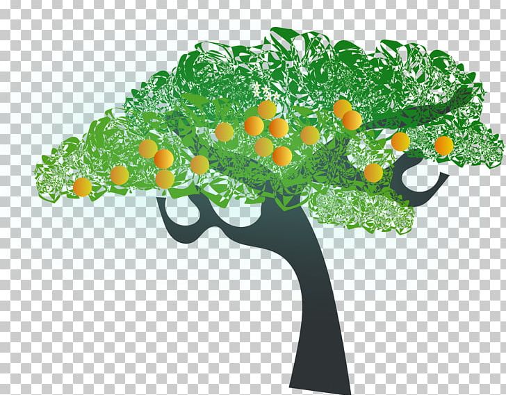 Fruit Tree PNG, Clipart, Cartoon, Download, Drawing, Fruit, Fruit Tree Free PNG Download