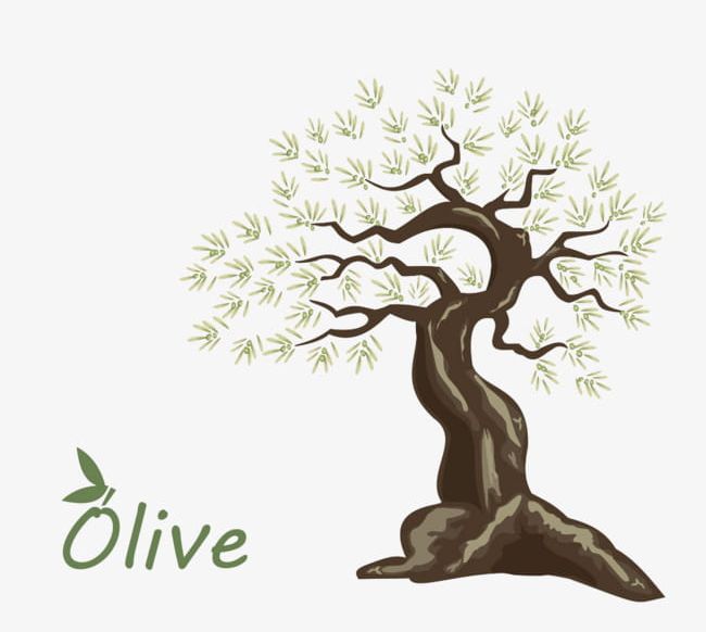Hand-painted Olive PNG, Clipart, Hand Painted Clipart, Hand Painted Clipart, Oil, Olive, Olive Clipart Free PNG Download