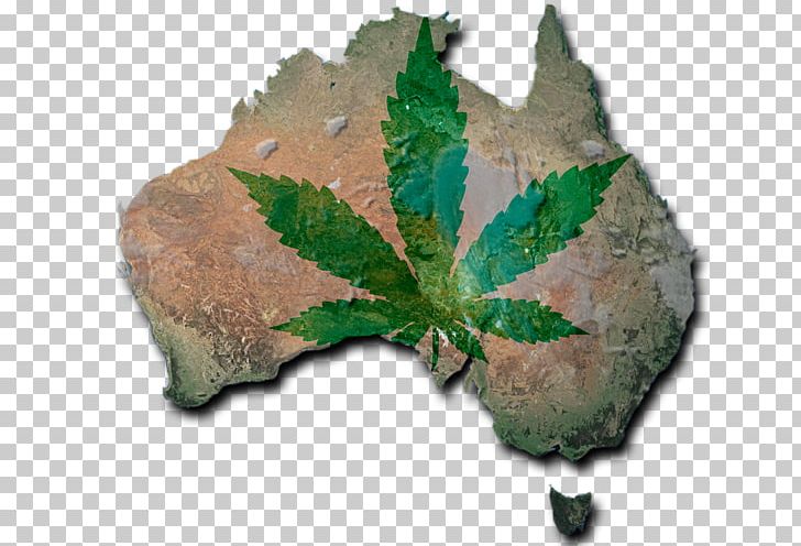 Medical Cannabis Norfolk Island World Map Flag Of Australia PNG, Clipart, Australia, Blank Map, Cannabis, Flag Of Australia, Herb Free PNG Download