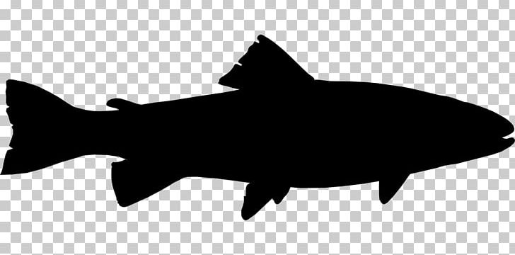 Rainbow Trout Silhouette PNG, Clipart, Animals, Black, Black And White, Brown Trout, Cartilaginous Fish Free PNG Download