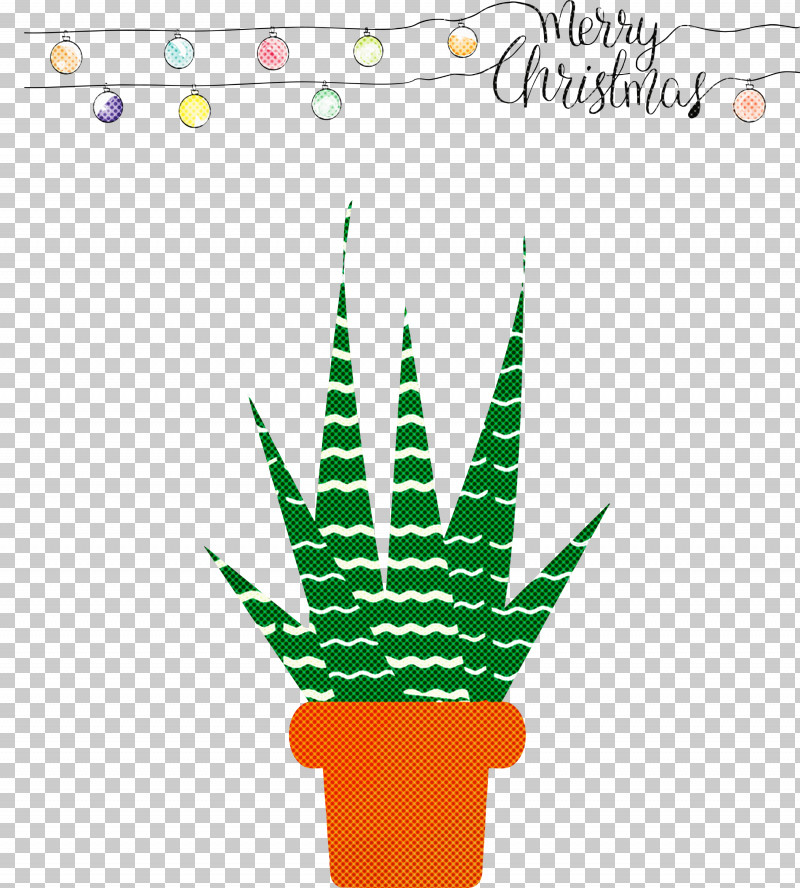 Merry Christmas Christmas Ornaments PNG, Clipart, Aloe, Christmas Ornaments, Flowerpot, Hemp Family, Houseplant Free PNG Download