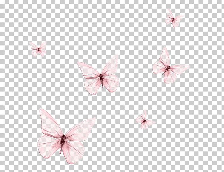 Butterfly Drawing PNG, Clipart, Butterflies, Butterflies And Moths, Butterfly Group, Butterfly Wings, Color Free PNG Download