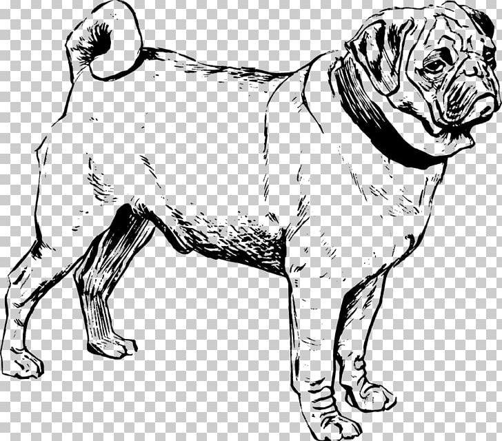Puggle French Bulldog Chow Chow PNG, Clipart, Artwork, Black And White, Bulldog, Carnivoran, Chow Chow Free PNG Download