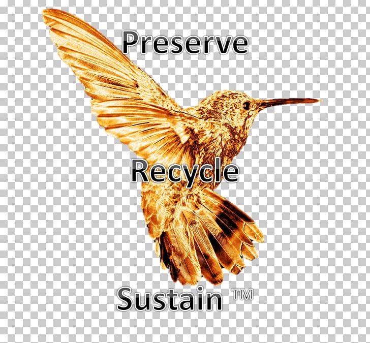 Recycling Reusable Shopping Bag Tote Bag Handbag PNG, Clipart, Accessories, Backpack, Bag, Beak, Bird Free PNG Download