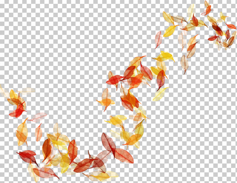 Maple Leaf PNG, Clipart, Autumn, Blog, Drawing, Leaf, Maple Free PNG Download