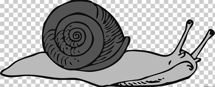 Snails & Slugs Graphics Sea Snail PNG, Clipart, Angle, Animal, Animals, Artwork, Black And White Free PNG Download