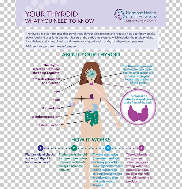 The Thyroid Thyroid Disease Hyperthyroidism Thyroid Cancer PNG, Clipart, Advertising, Anxiety, Depression, Gland, Health Free PNG Download