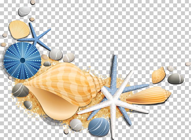 Vacation Sea Summer Beach Suite PNG, Clipart, Animals, Beach, Coast, Game, Invertebrate Free PNG Download