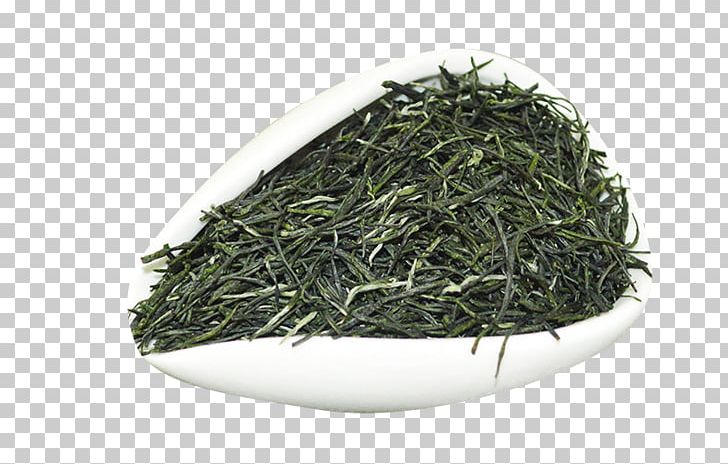 Xinyang Maojian Tea Xinyang Maojian Tea Gyokuro Green Tea PNG, Clipart, Cut, Dark, Free, Grass, Green Tea Free PNG Download