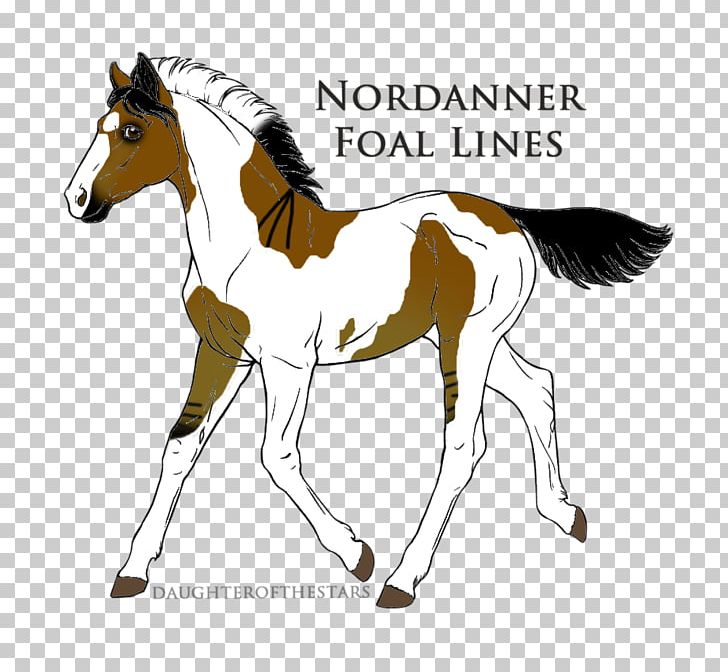 Mustang Foal Stallion Mare Colt PNG, Clipart, Bridle, Colt, Dreamcatcher, Foal, Halter Free PNG Download