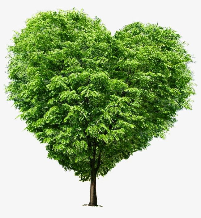 Heart-shaped Trees PNG, Clipart, Heart Shaped, Heart Shaped Clipart, Heart Shaped Clipart, Heart Shaped Tree, Heart Shaped Trees Free PNG Download