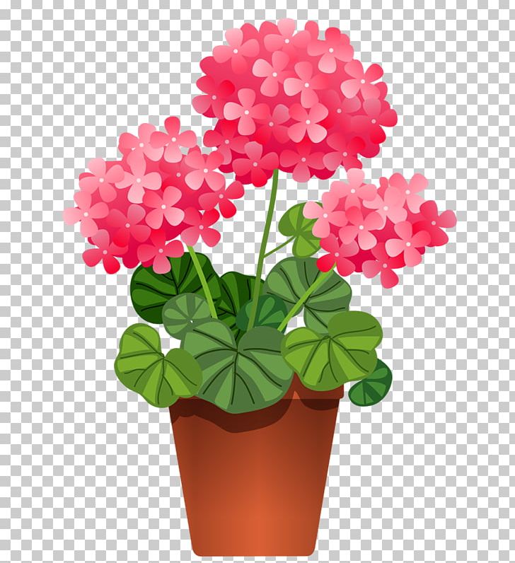 Houseplant Flower PNG, Clipart, Annual Plant, Clip Art, Cut Flowers, Floral Design, Flower Free PNG Download