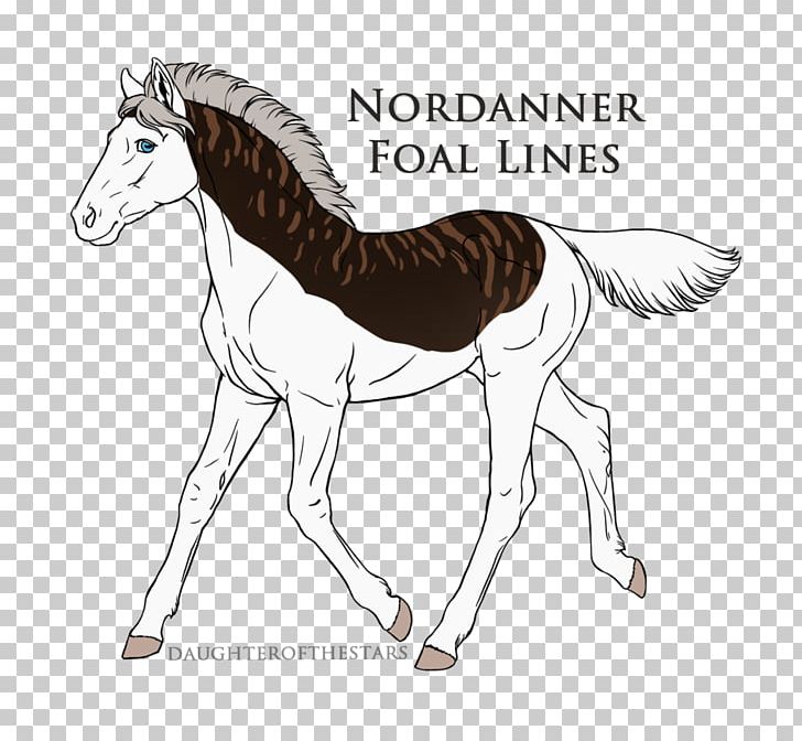 Mane Mustang Foal Pony Colt PNG, Clipart, Animal, Bay, Bridle, Colt, Drawing Free PNG Download