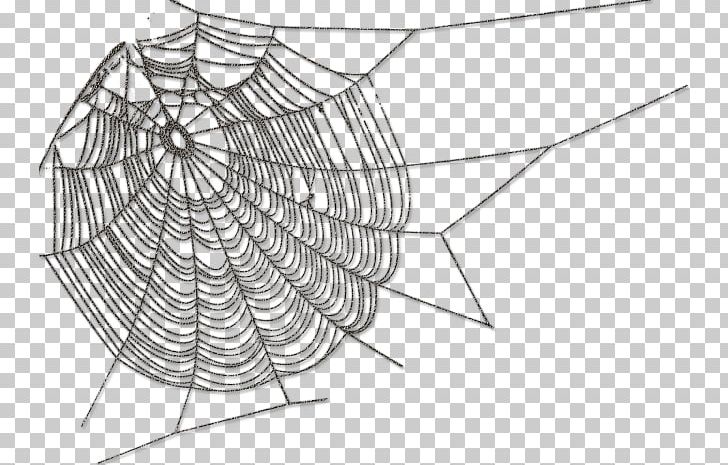 Spider Web Spider Silk PNG, Clipart, Angle, Animation, Arachnid, Area, Artwork Free PNG Download