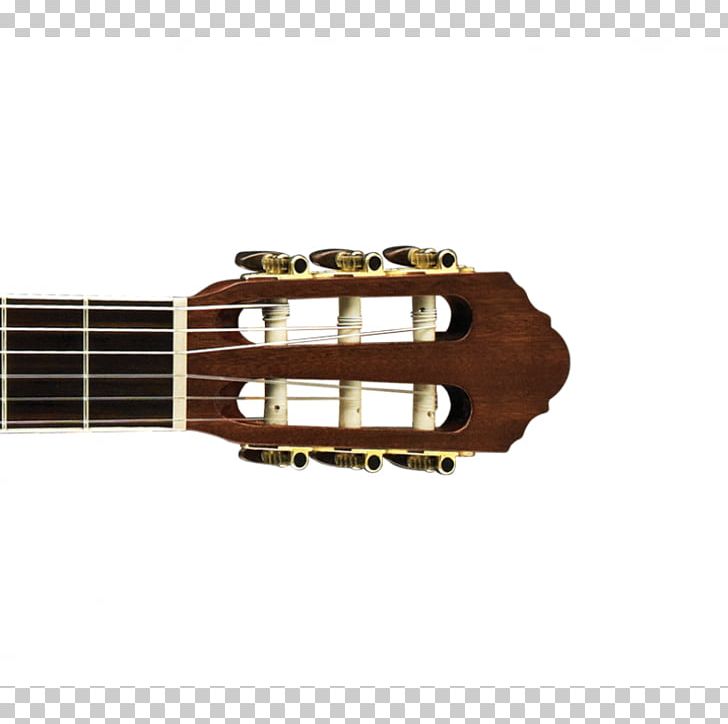 Acoustic Guitar Acoustic-electric Guitar Cavaquinho Tiple PNG, Clipart, Acoustic Electric Guitar, Acoustic Guitar, Acoustic Music, Folk Music, Guitar Free PNG Download