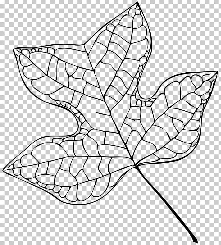 Liriodendron Tulipifera Tree Leaf Cottonwood PNG, Clipart, Angle, Area, Art, Artwork, Autumn Leaf Color Free PNG Download