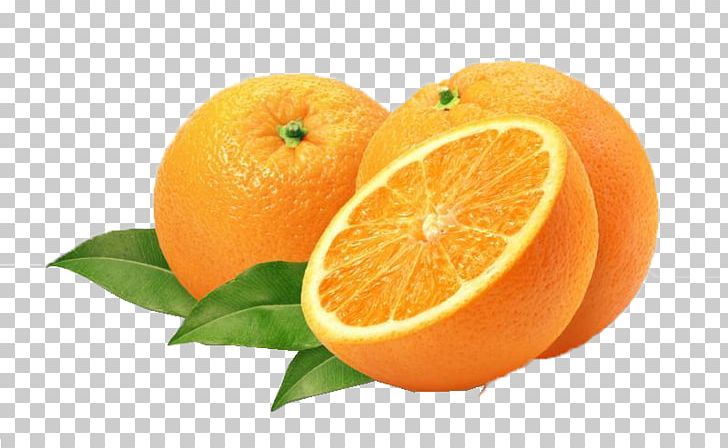 Orange Juice Orange Juice Citrus × Sinensis Food PNG, Clipart, Citric Acid, Citrus, Citrus Sinensis, Clementine, Essential Oil Free PNG Download