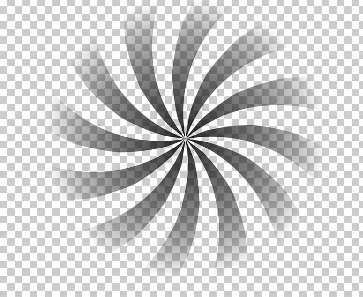 Color PNG, Clipart, Adobe Fireworks, Black And White, Circle, Color, Computer Wallpaper Free PNG Download