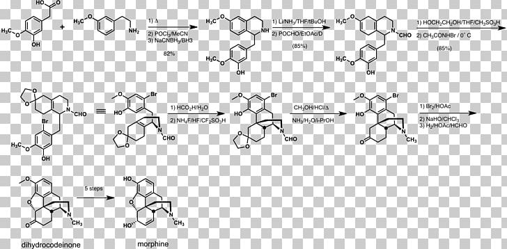 Total Synthesis Of Morphine And Related Alkaloids Rice Document PNG, Clipart, Alkaloid, Angle, Area, Auto Part, Black And White Free PNG Download