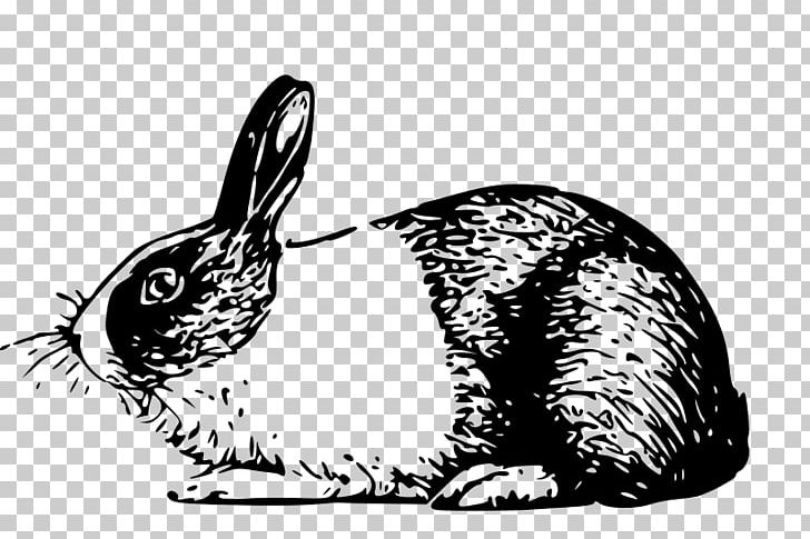 White Rabbit Hare PNG, Clipart, Animals, Artwork, Beak, Black, Carnivoran Free PNG Download
