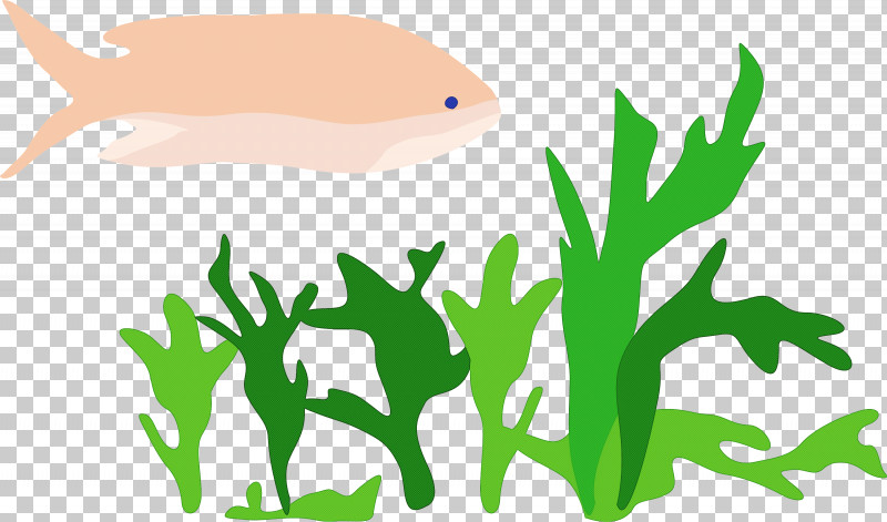Sea Fish PNG, Clipart, Grass, Green, Plant, Sea Fish Free PNG Download