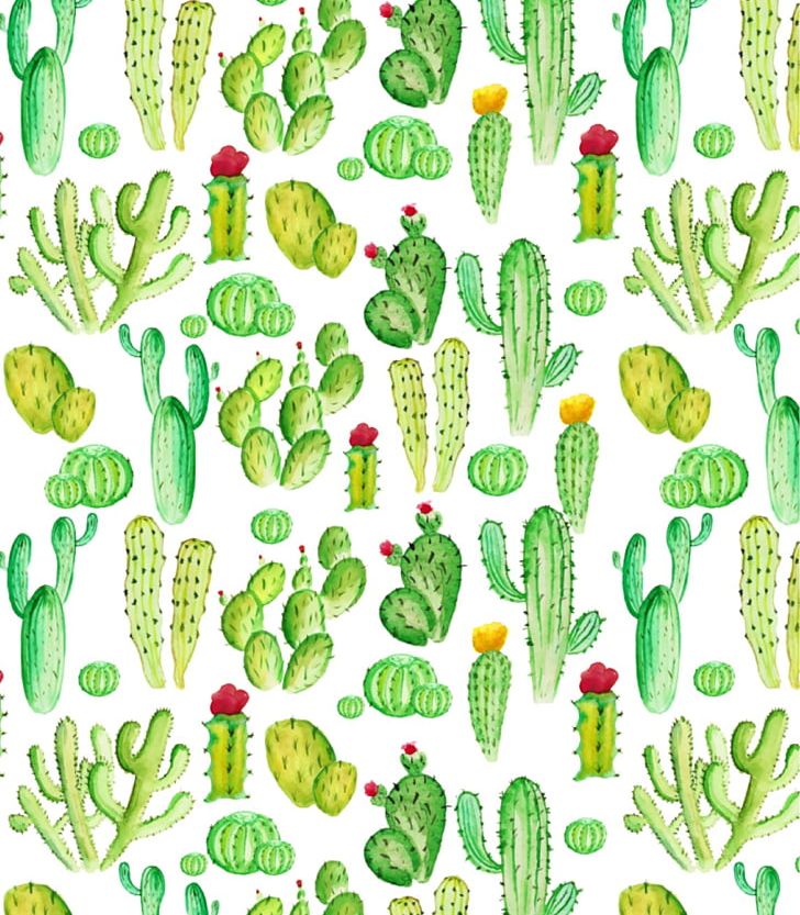 Cactaceae Succulents And Cactus Succulent Plant Desert Drawing PNG, Clipart, Aquarium Decor, Art, Cactaceae, Cactus, Color Free PNG Download