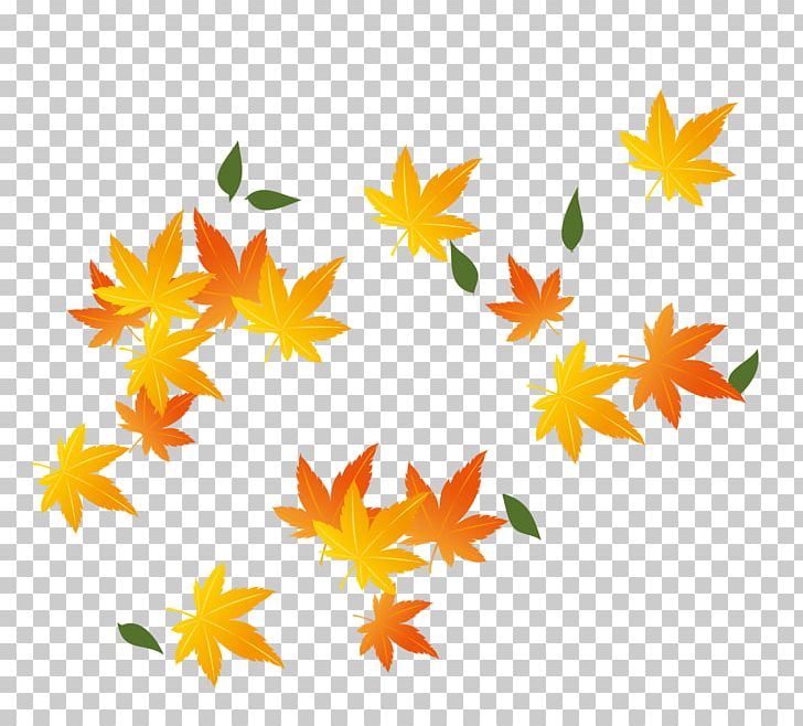 Red Maple Maple Leaf PNG, Clipart, Autumn Leaves, Autumn Maple Leaves, Autumn Tree, Cartoon, Deciduous Free PNG Download