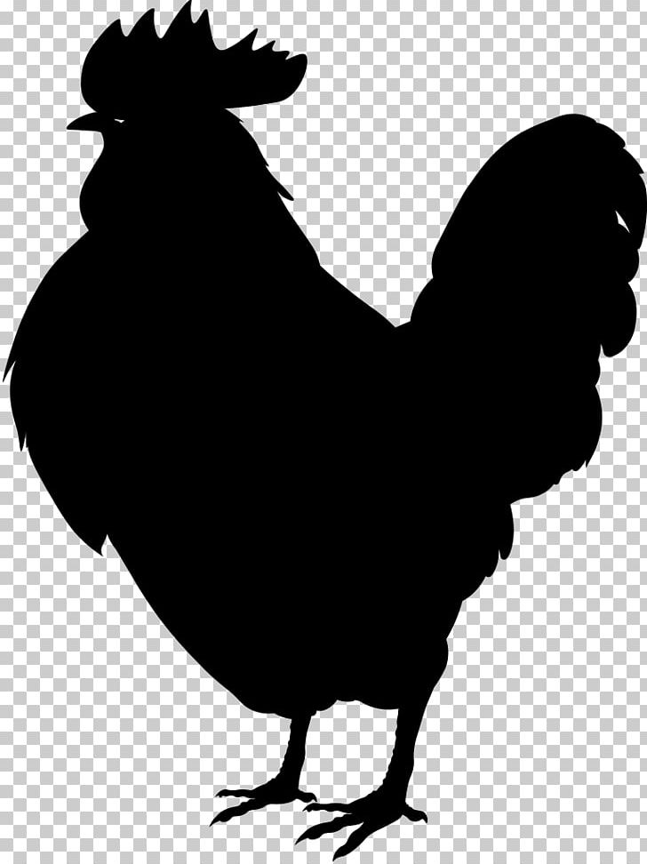 Rooster Leghorn Chicken Plymouth Rock Chicken Phoenix Chicken Rhode Island Red PNG, Clipart, Beak, Bird, Black And White, Chicken, Chicken Coop Free PNG Download