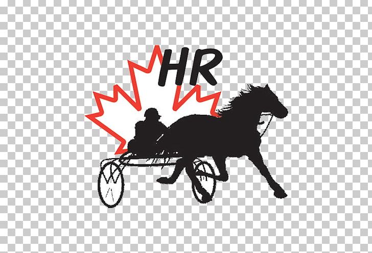 Horse Harnesses Woodbine Racetrack Truro Raceway HPItv Harness Racing PNG, Clipart, Bicycle, Canada, Carriage, Chariot, Coachman Free PNG Download