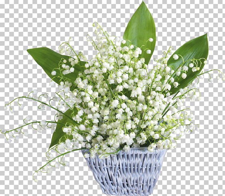 Lily Of The Valley May 1 Party Labour Day May Day PNG, Clipart, Cut Flowers, Day Lily, Fathers Day, Floral Design, Floristry Free PNG Download
