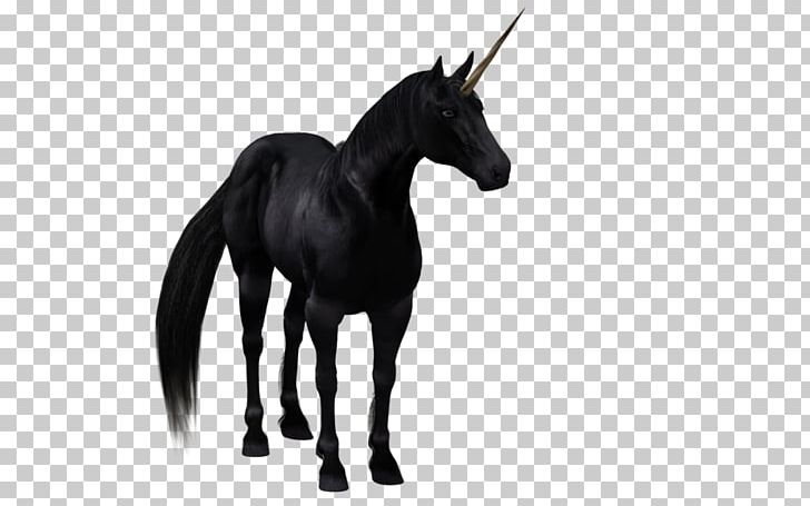 The Black Unicorn Horse PNG, Clipart, 3d Computer Graphics, Animal Figure, Animals, Black And White, Black Unicorn Free PNG Download