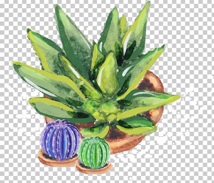 Aloe Vera Euclidean Vecteur Cactaceae PNG, Clipart, Ananas, Cactus, Cactus Cartoon, Cactus Flower, Cactus Vector Free PNG Download