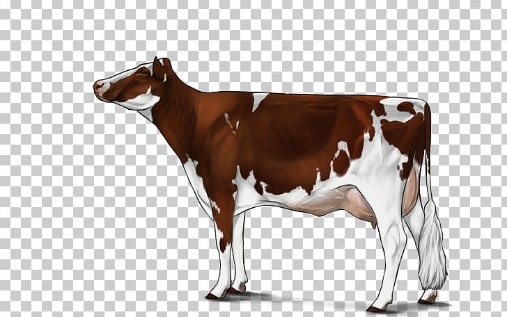 Herding Dog Dairy Cattle PNG, Clipart, Animals, Breed, Bull, Calf, Cattle Free PNG Download