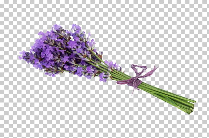 Lavender Flower Stock Photography Getty S PNG, Clipart, Bouquet, Flower, Flower Bouquet, Flowering Plant, French Lavender Free PNG Download