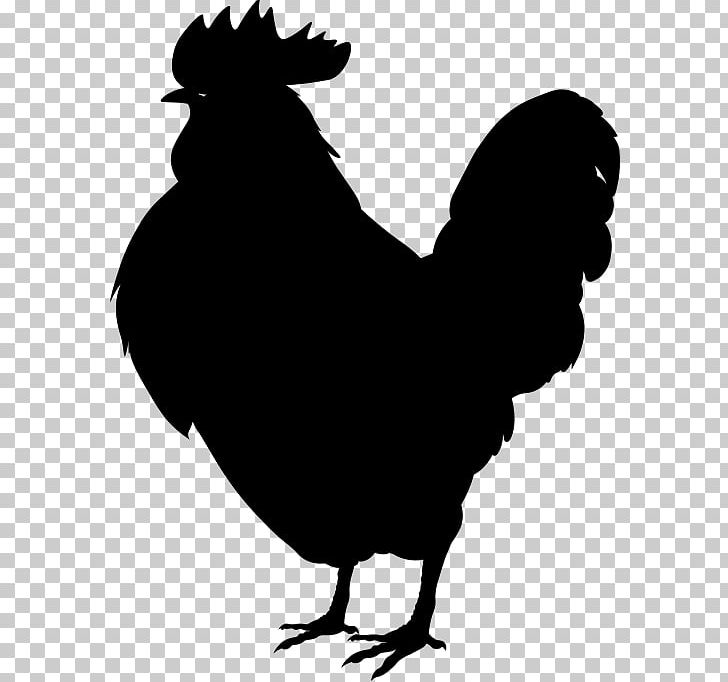 Rooster Leghorn Chicken Plymouth Rock Chicken Phoenix Chicken Rhode Island Red PNG, Clipart, Beak, Bird, Black And White, Chicken, Chicken Coop Free PNG Download