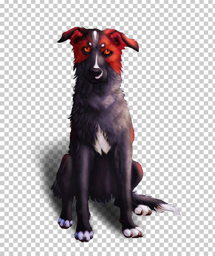 Dog Breed Border Collie Rough Collie Drawing PNG, Clipart, 16 October, 28 October, Border Collie, Breed, Business Free PNG Download