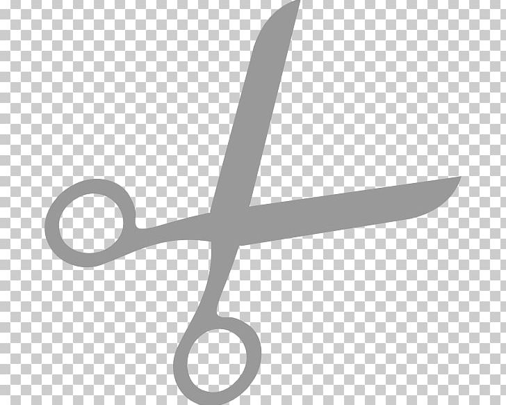 Scissors Hair-cutting Shears Hairdresser PNG, Clipart, Angle, Blog, Cutting Hair, Document, Fashion Designer Free PNG Download