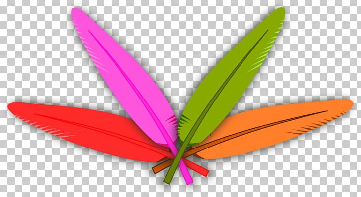 Turkey Meat Feather PNG, Clipart, Butterfly, Color, Domesticated Turkey, Drawing, Feather Free PNG Download