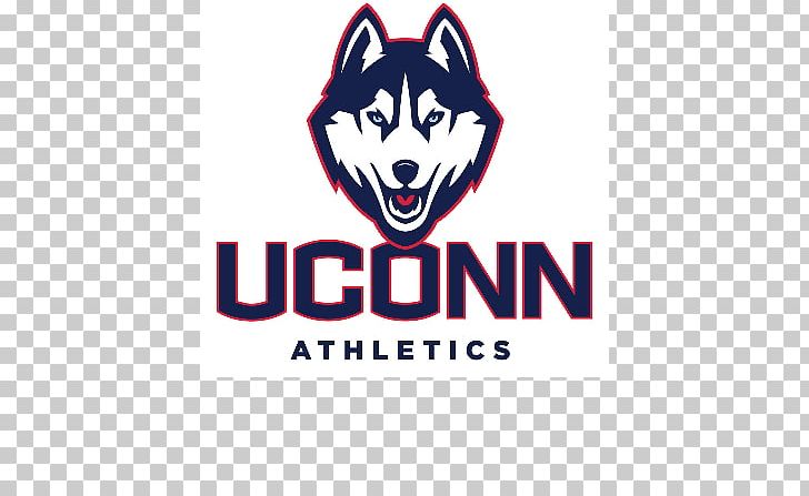 University Of Connecticut Connecticut Huskies Men's Basketball Connecticut Huskies Women's Basketball Connecticut Huskies Football Jonathan The Husky PNG, Clipart, Animals, Brand, College, Connecticut Huskies, Connecticut Huskies Football Free PNG Download