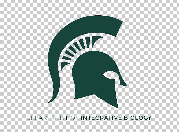 Eli Broad College Of Business University Michigan State Spartans Sparty Higher Education PNG, Clipart,  Free PNG Download