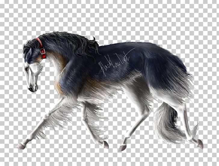 Saluki Borzoi Silken Windhound Irish Wolfhound Greyhound PNG, Clipart, American Quarter Horse, Carnivoran, Dog Breed, Dog Like Mammal, Horse Free PNG Download