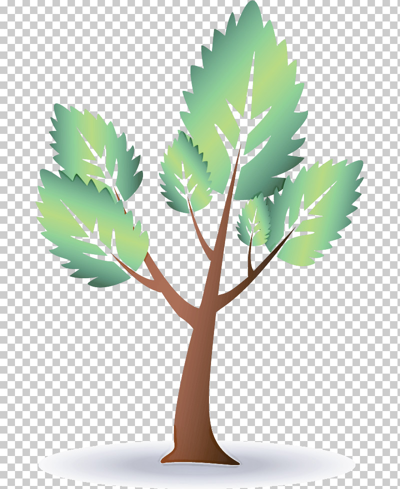 Palm Trees PNG, Clipart, Biology, Branch, Coconut, Floral Design, Flower Free PNG Download