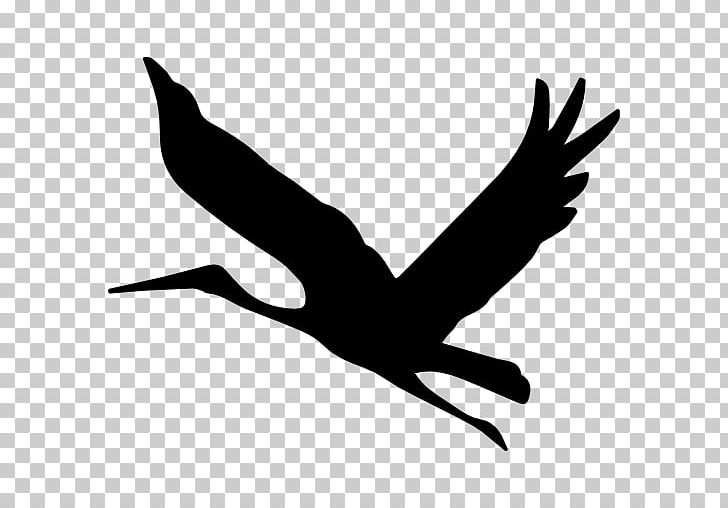 Bird Mallard PNG, Clipart, Animals, Arm, Beak, Bird, Bird Fly Free PNG Download