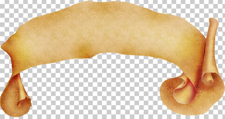 Bockwurst Placard Pig's Ear God PNG, Clipart, Banners, Bockwurst, God, Mexican, Placard Free PNG Download