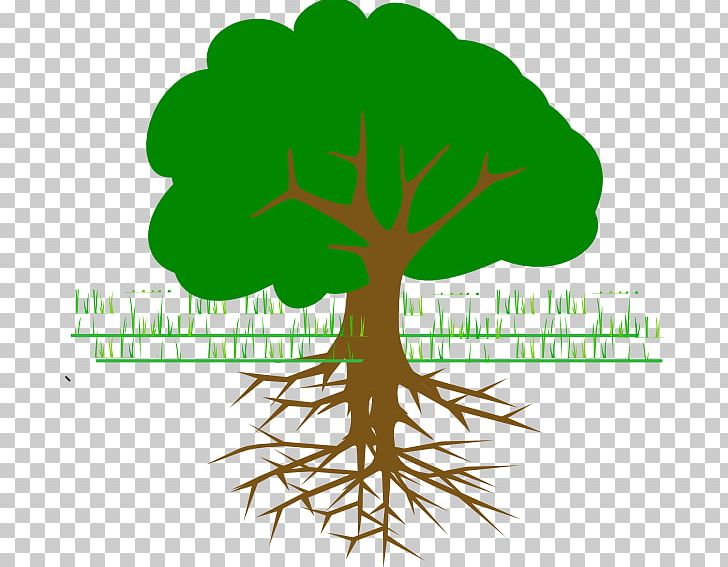 Tree Le Premier Jour Du Reste De Ma Vie Branch PNG, Clipart, Blog, Branch, Download, Drawing, Ecology Free PNG Download