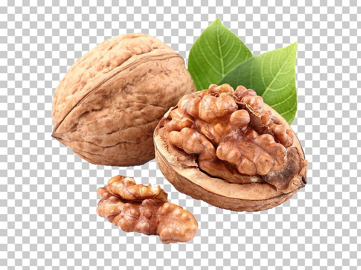 English Walnut Price Dried Fruit PNG, Clipart, Artik, Commodity, Food, Fruit Nut, Green Walnut Free PNG Download